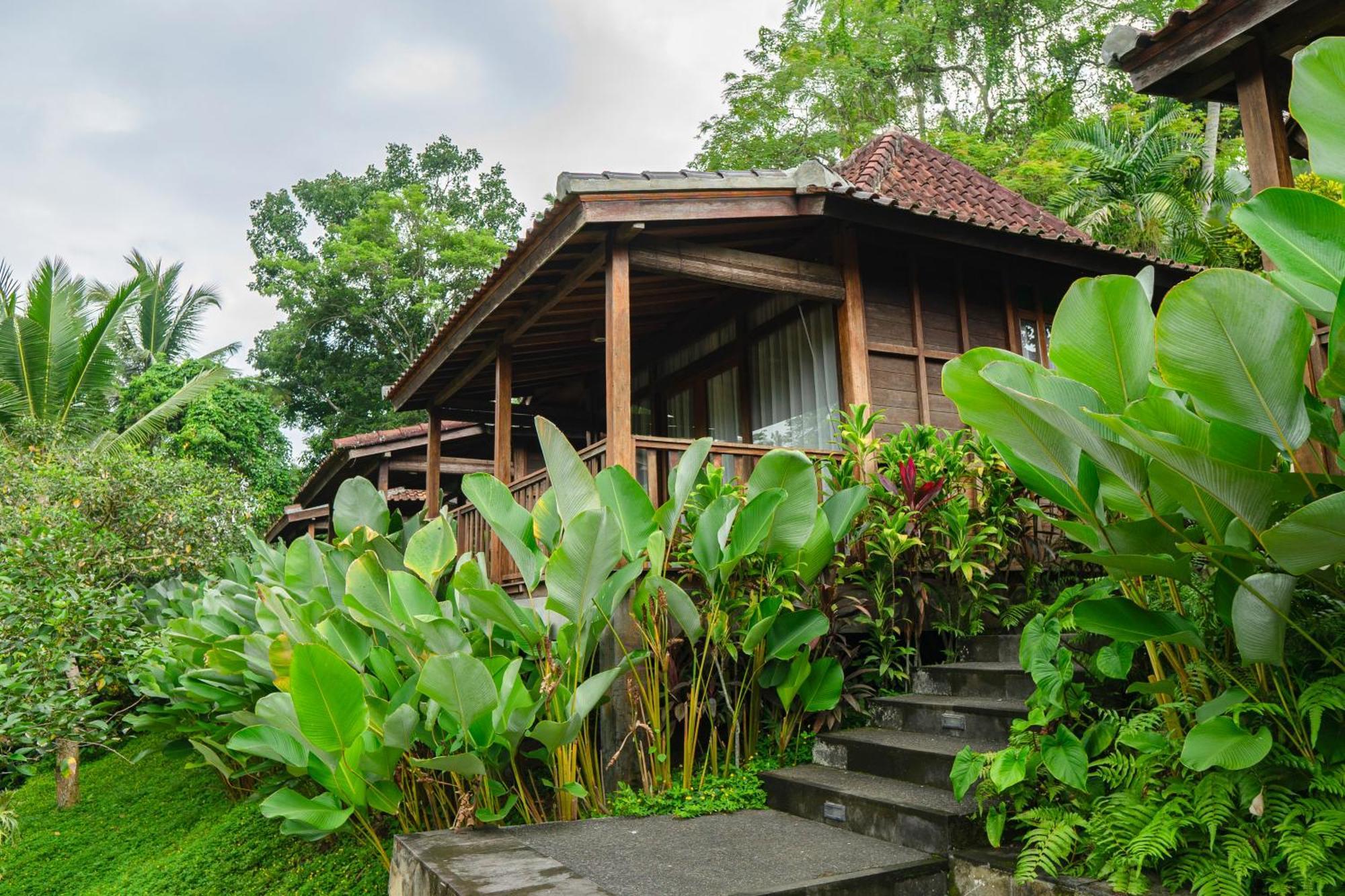 Pertiwi Bisma 1 Otel Ubud Dış mekan fotoğraf