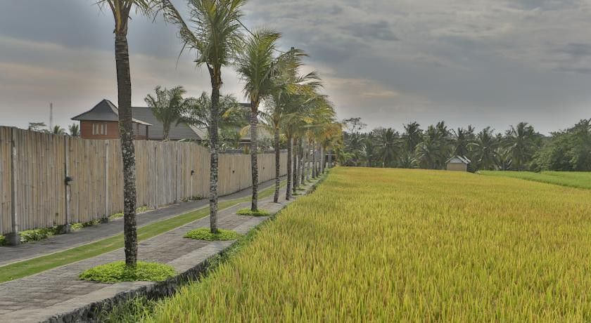 Pertiwi Bisma 1 Otel Ubud Dış mekan fotoğraf